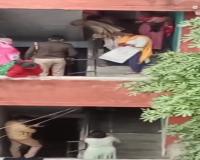 हरदोई: मकान की चौथी मंजिल पर चढ़ गए नंदी महाराज, दो महिलाओं ने सूझबूझ से उतारा नीचे