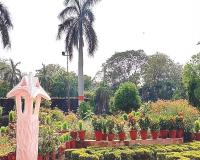 Kanpur News: बॉटनिकल गार्डेन बनेगा पिकनिक स्पॉट; नये सिरे से किया जाएगा डिजाइन, केडीए ने शुरू की तैयारी