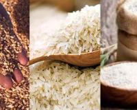 लखीमपुर-खीरी: कोटेदार ने बाजार में बेच दिए गेहूं-चावल और चीनी, ग्रामीणों की शिकायत पर जांच में हुआ खुलासा