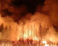 गरमपानी: भुजान और बमस्यूं में आग का तांडव, धुएं ने रोकी रफ्तार 