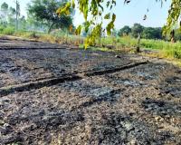 बाराबंकी: एचटी लाइन की चिंगारी से जली गेहूं की फसल, किसानों में आक्रोश