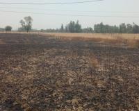 बहराइच अग्निकांड: चार मकान और गेहूं की फसल जली, लाखों का नुकसान 