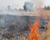 बाराबंकी: आग लील रहीं गेहूं की फसलें, किसानों पर आफत