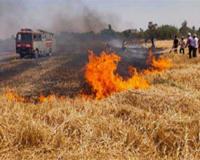 संतकबीरनगर में आग का तांडव, सैकड़ों बीघा गेहूं की फसल स्वाहा