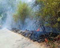 अयोध्या: 50 बीघा जंगल में लगी आग, पेड़ जले, 10 बीघा गेहूं की फसल भी जलकर हुई राख