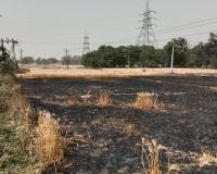 अयोध्या: दो गांव की 8 बीघा गेहूं की फसल जल कर राख