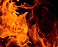 नोएडा: कसना थाने में लगी आग, थाना प्रभारी कक्ष और 90 वाहन जलकर राख 