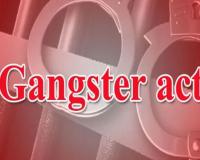 कासगंज: गिरोह बनाकर अपराधिक घटनाओं को दे रहे थे अंजाम, पांच को पुलिस ने गैंगस्टर में किया निरुद्ध  