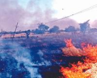 Hamirpur Fire: शार्ट सर्किट से लगी आग...छह बीघे की गेहूं की फसल जलकर खाक