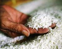 अल्मोड़ा: जांच के लिए भेजा गया गल्ले की दुकानों में मिलने वाला चावल 