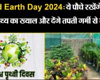 बरेली: World Earth Day 2024: ये पौधे रखेंगे आपके स्वास्थ्य का ख्याल और देंगे तपती गर्मी से राहत