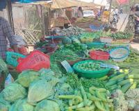 Unnao News: सब्जियों में छाई महंगाई...बजट के साथ थाली का स्वाद बरकरार रखने को हो रही जद्दोजहद 
