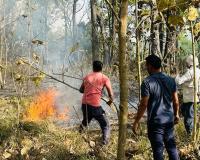 बलरामपुर: अज्ञात कारणों से लगी आग में धू-धू कर जला जंगल, ग्रामीण हुए भयभीत, इस बात का सताया डर!