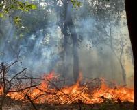 बरेली: रुहेलखंड विश्वविद्यालय परिसर मे लगी आग, मची अफरा-तफरी