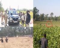 मुरादाबाद : तेंदुए की दस्तक से गांव में दहशत, खेतों में भागते हुए तेंदुए का वीडियो वायरल...वन विभाग का रेस्क्यू जारी