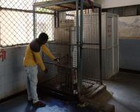 Farrukhabad: डॉक्टर राम मनोहर लोहिया अस्पताल के वाटर कूलर खराब; भीषण गर्मी में ठंडे पानी को तरस रहे मरीज व तीमारदार