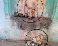 फतेहपुर में दो मंदिरों में अराजक तत्वों ने तोड़ी मां दुर्गा की मूर्तियां; ग्रामीणों में आक्रोश