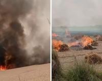 Kannauj: आग ने गेहूं किसानों के अरमानो पर फेरा पानी; 150 बीघा फसल जलकर राख, अधिकारियों ने दिलाया मदद का भरोसा