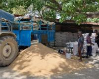 Bareilly News: मंडल में अब तक 1.19 लाख मीट्रिक टन गेहूं खरीद, शाहजहांपुर आगे