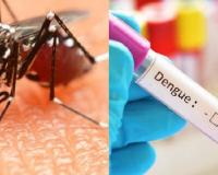 Health Tips: आपको भी तो नहीं है डेंगू?, जान लें लक्षण...ऐसे करें बचाव