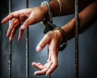 श्रीलंकाई जेलों में बंद 43 पाकिस्तानी नागरिक स्वदेश लौटेंगे, उच्चायुक्त को दिया धन्यवाद 