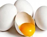 Bareilly News: अंडे भी होते हैं एक्सपायर, सात दिन से पुराने होने पर न करें इस्तेमाल