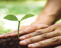 Kanpur: पेड़ लगाओ-पेड़ बचाओ अभियान से बढ़ाएंगे हरियाली, 27 विभागों को मिला लगभग 43 लाख पौधरोपण का लक्ष्य 
