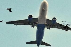 अंतरराष्ट्रीय उड़ानों पर प्रतिबंध 31 अगस्त तक बढ़ा