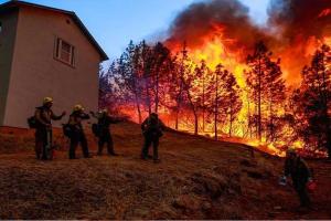 कैलिफोर्निया में जंगल में लगी आग बुझाने की कोशिश में दमकलकर्मी की मौत