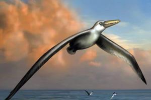 वैज्ञानिकों ने की पांच करोड़ साल पहले पाए जाने वाले विशालकाय पक्षी के जीवाश्म की पहचान