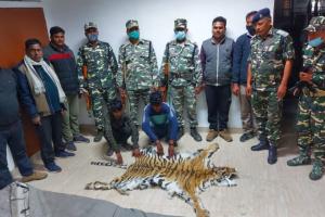 लखीमपुर खीरी: बाघ की खाल के साथ दो तस्कर गिरफ्तार