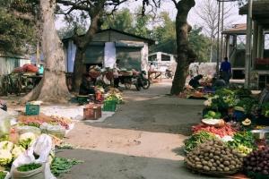 बरेली: हाट बाजार भूल जाइए, घर बैठे नहीं मिलेंगी सब्जियां