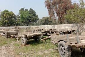 हल्द्वानी: अवैध खनन करे रहे 11 भैंसा बुग्गी को वन प्रभाग ने किया सीज