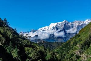 पर्यावरण दिवस: मानव जीवन का ‘कंट्रोलरूम’ है हिमालय!