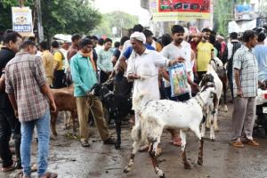 बरेली: बारिश में चढ़े दाम, दो से पांच हजार महंगे बिके बकरे