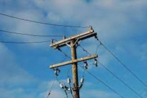 बरेली: मिनी बाईपास पर सड़क किनारे बिजली के पोल में करंट उतरा, भैंस की मौत