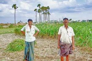 गरमपानी: लाखों रुपये की योजनाएं पर किसानों को नहीं मिला लाभ