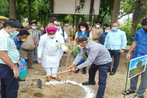 रामपुर: राज्यमंत्री ने रोपा सहजन का पौधा, पौधारोपण की अपील