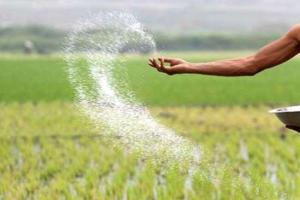 बरेली: क्यूआर कोड स्कैन किए बिना भी मिल सकेगी किसानों को खाद