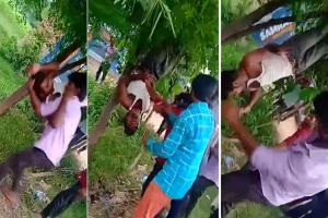 मुरादाबाद : ग्रामीणों ने युवक को पेड़ से उल्टा लटका कर पीटा, जानिए क्या है पूरा मामला