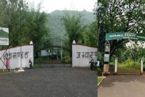इंदौर के रालामंडल अभयारण्य में ‘नाइट सफारी’ शुरू, पर्यटन को मिलेगा बढ़ावा