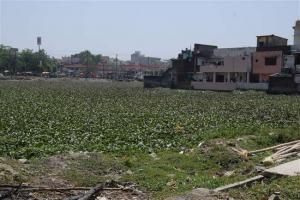 बरेली: कब्जों से बचेगा तालाब तब संंवरेगा शहर, बूंद- बूंद सहेजने की कोशिश हो रही नाकाम