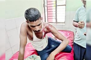 लखीमपुर खीरी: खेत में गन्ना बांध रहे मजदूर पर बाघ ने किया हमला