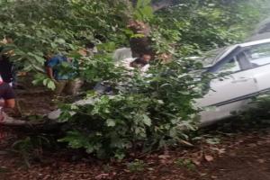 मुरादाबाद: सड़क पर अमरूद खरीद रहे युवकों को कार ने रौंदा, दो की मौत