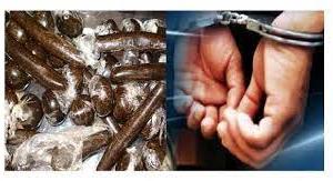 रुद्रपुर: 25 लाख की चरस के साथ दो गिरफ्तार 