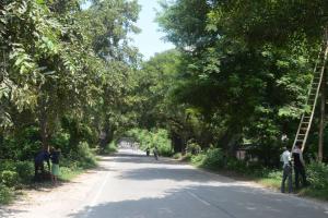 बरेली: हरियाली ट्रांसलोकेट कर देंगे तो कंकरीट के जंगल में कैसे सांस लेंगे शहरवासी
