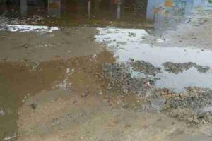 लखनऊ: विद्यालय प्रांगढ़ में भर रहा गांव का गंदा पानी, जानें क्या कहते हैं जिम्मेदार