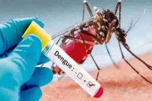 फिरोजाबाद: डेंगू व वायरल बुखार से बिगड़े हालात, न बेड मिल रहे न इलाज