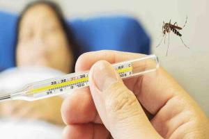 मुरादाबाद: गांवों में भी पैर पसार रहा डेंगू, गक्खरपुर में मिले पांच रोगी