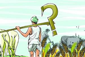 बरेली: एमएसपी में वृद्धि से नाखुश किसान बोले- सरकार ने किया मजाक